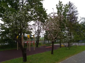 Апартаменты Amber Place