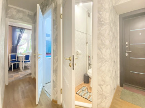 Квартира InRoomSPb на Черной речке