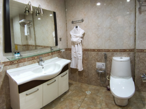 Отель Ganjali Plaza