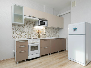 Апартаменты Cosmos Apart на Революции 48А (1)