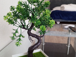 Апартаменты KönigApart