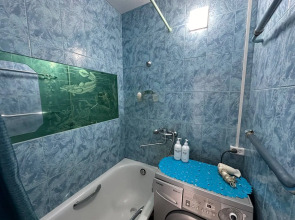 Квартира Однокомнатная на Геологоразведчиков 4