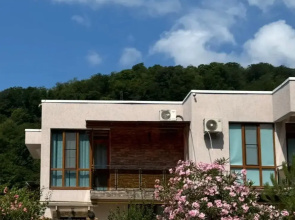 Taunkhaus V Dagomyse S Vidom Na Gory I Prirdu Private house