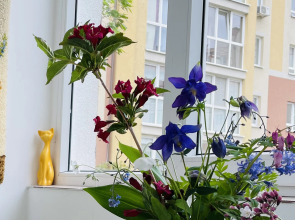 Квартира Baltic space