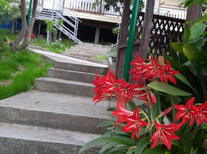 Гостевой дом Мандариновый Рай