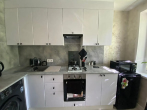 Квартира с замиакулькасами