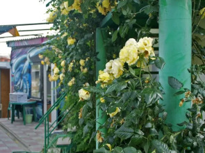 Хостел Судак