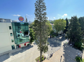 Апартаменты Миррор в центре