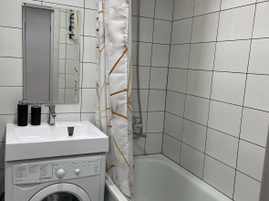 Квартира студия в центре города 50 оттенков серого