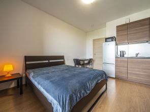 Апартаменты GoodApart near the Pulkovo Park 3