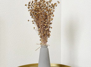 Апартаменты Династия