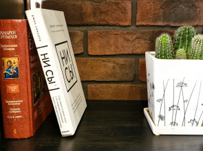 Квартира Два Кота