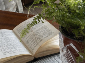 Квартира на Космодемьянских