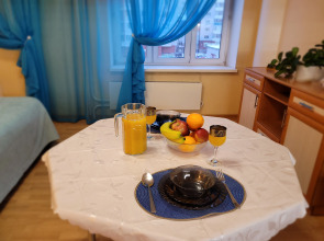 Апартаменты в центре у ТЦ Вояж