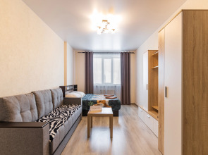 Апартаменты на Револиционной