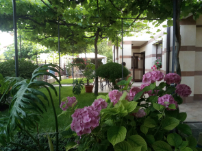 Bellehouse Guest House