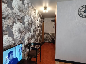 Квартира Пушкина 41 в центре города