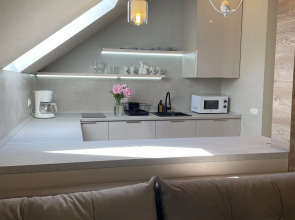 Апартаменты Студия Мельничный пруд