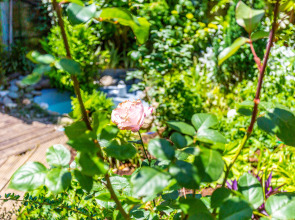 Гостевой Дом Бамбук-Хутор