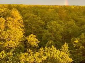 Квартира Кранц Апарт