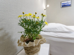 Гостевой Дом Бамбук-Хутор