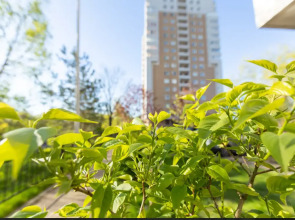 Квартира Панорама