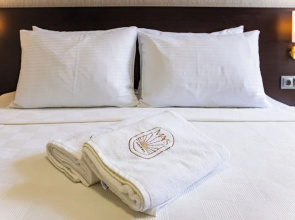 Mays Royal Hotel