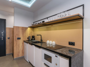 Апартаменты Baden Loft