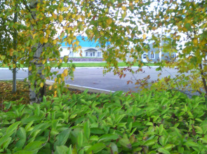 Отель Черемушки