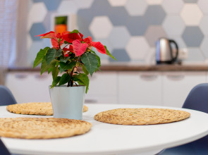 Апартаменты Люкс на Димитрова