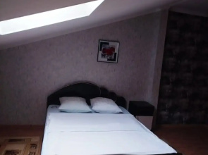 Отель Hotel-Hall
