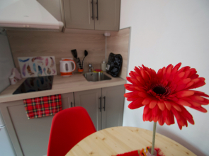 Апартаменты Стандартные с Видом на Город Василия Ощепкова 1