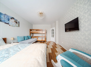 Квартира однокомнатная у метро Академическая