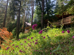 База отдыха Solur