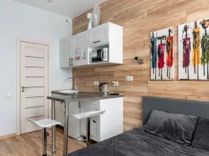 Апартаменты Букинист 233/1