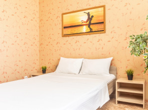 Апартаменты на Белинского 11/66