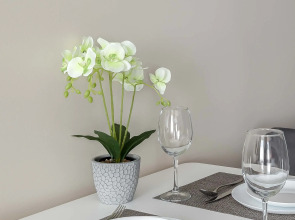 Апартаменты Knokey Спартак Улучшенные