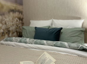 Апартаменты У Закхаймских ворот 87а