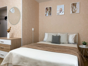 Апартаменты Квартира у ДС Торпедо на Чкалова