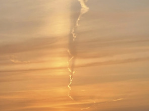 Квартира Ботаника