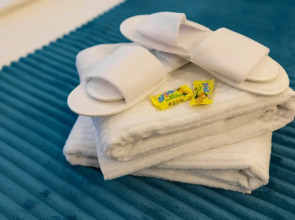 Апартаменты с видом на Москву 1