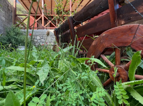 Гостевой дом Holiday Home