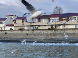 Гостевой дом Край моря