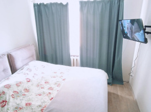 Uyutnaya Na Belinskogo Flat