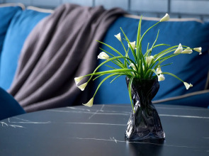 Квартира у Пулковского парка с панорамными окнами