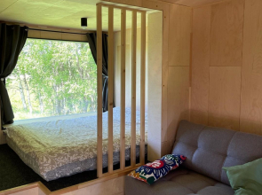 Глэмпинг Папоротник