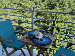 Апартаменты Центр Города Светлогорска