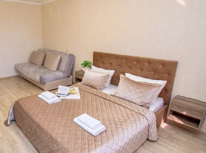 Апартаменты FSF Советский 6/2-Бесконтактный заезд