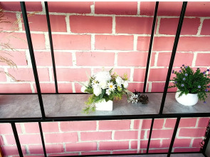 Квартира уютная в центре города