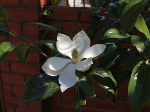 Гостевой Дом Aksis House